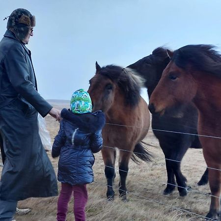 Bikers Paradise Ólafsvík Екстериор снимка