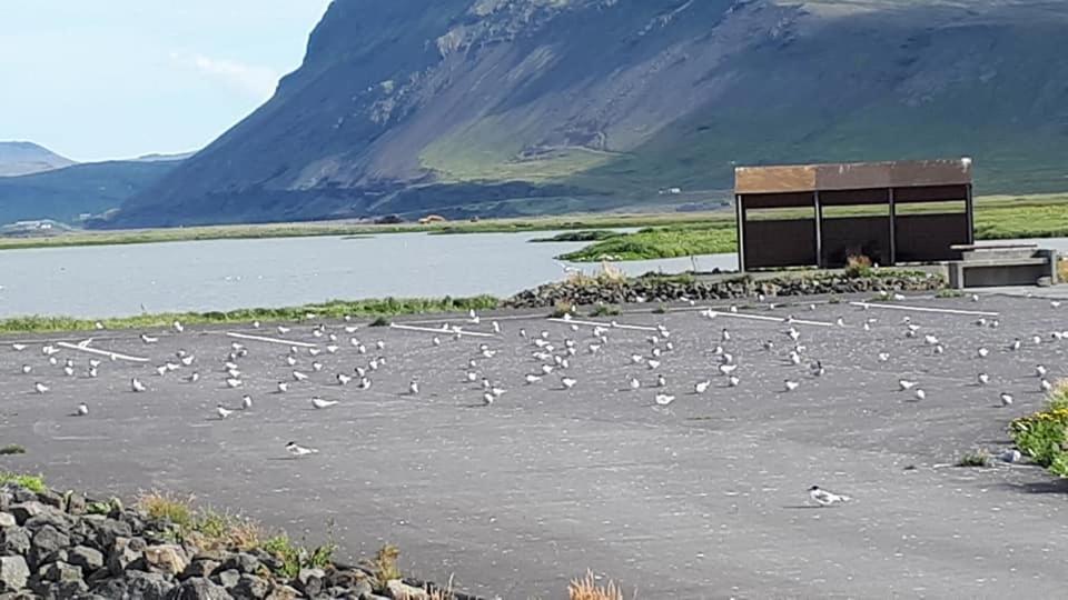 Bikers Paradise Ólafsvík Екстериор снимка